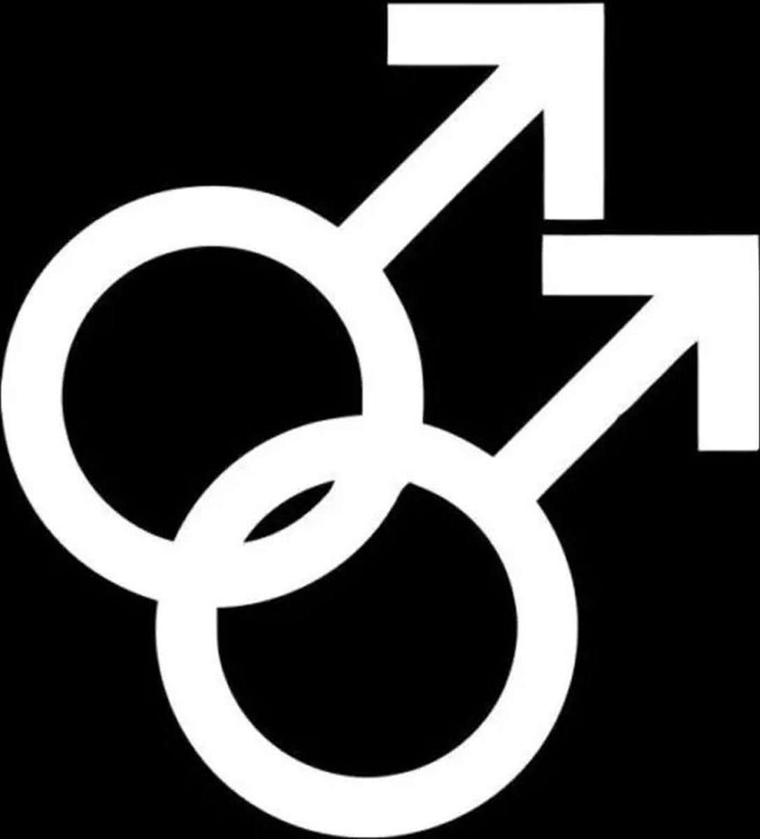 GoedeDoelen.Shop | (Auto) Sticker Man Man Zilver | Man Man Symbool | Sticker | Weersbestendig | Laptopsticker | Statement Sticker | Love Is Love | Pride